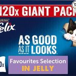 Jelly Wet Cat Food